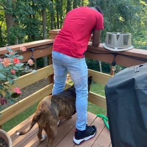 Meet your Posher, Tabori